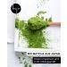 Premium Bio-Matcha Tea from Japan | Hand-Picked Kuro Matcha Green Tea Powder - 100g Eco-Friendly Bag - Buy Online on GoSupps.com