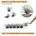 Quewel Mega D Curl Individual Eyelash Clusters 12mm - DIY Eyelash Extensions for Stunning Eyes - Buy Online on GoSupps.com