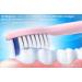 8er Demirdental Extra Soft Replacement Brushes for Philips Sonicare - Gentle Bristles for Sensitive Teeth - HX6058 - Buy Online on GoSupps.com