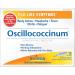 Boiron Oscillococcinum 12 Count Pellets for Flu-like Symptoms - 2 Pack - Buy Online on GoSupps.com
