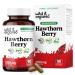 Wild & Organic Hawthorn Berry Capsules 1200 mg - Overall Support - Hawthorne Berry Supplement - Crataegus Monogyna Fruit Powder - 45 Days of Supply - Vegan No Fillers Non-GMO - 90 Count 90 Count (Pack of 1)
