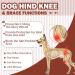 Buy Hjyokuso Recovery Suit for Dogs - Leg Surgery & Licking Prevention Sleeves - Size S Brown - Buy Online on GoSupps.com