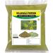 Powder of Scent | Nilavarai | Cassia Angustifolia | Sonamukhi 100 g