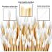 Durable 6'' Long Cotton Swabs - 1000 Count, Pointed Tips for Gun Cleaning, Makeup & Pet Care - Buy Online on GoSupps.com
