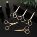 5-Piece Stainless Steel Nose Hair Scissor Set for Facial Grooming - Small Straight Tip Beauty Scissors for Hair, Mustache, Beard, and Eyebrow Trimming (Gold) - Buy Online on GoSupps.com
