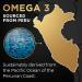 Omega 3 Fish Oil Capsules - 180 High Strength | 990mg EPA & 660mg DHA | 2 Months Supply | Made in UK - Buy Online on GoSupps.com