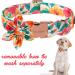 Unique Style Paws Flower Dog Collar - Adjustable & Comfortable Cotton Design with Metal Buckle for Boys & Girls - Orange & Pink Flowers - Perfect for Small Dogs - Buy Online on GoSupps.com