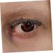 BCOATH 10 Pairs Fake Eyelashes False Lashes Natural Look Shower Glass Door Stoppers Women False Eyelashes Baby Dolls for Girls Lash Inserts Makeup False Eyelashes Fluffy Extend Fiber Miss - Buy Online on GoSupps.com