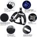 Luminous USB Charging Dog Harness - LED Light Harness for Small & Medium Dogs - Breathable & Lightweight PCEOTLLAR - Black/Blue S/M - Buy Online on GoSupps.com