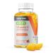 Sugar Free Vitamin C with Echinacea Gummies for Immune Support - Herbal Dietary Vitamin Supplements for Adults Teens & Kids - Vegan Gelatin Free Gluten Free Non GMO - Chewable Orange Flavor Gummies 60 Count (Pack of 1)