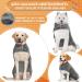 Jostift Microfiber Dog Bathrobe - Absorbent Bathing Towel for All Dog Sizes | Adjustable Straps for Comfort - Gray Medium - Buy Online on GoSupps.com