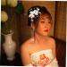 minkissy 3 Pairs Antique Hairpin Headdress Hanfu Tassel Clip Hair Clips for Styling Sectioning Hair Pin Chinese Hair Comb Pearl Hair Clip Chinese Hair Clip Bride Emerald Vintage Acrylic - Buy Online on GoSupps.com