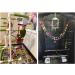 Colorful Wooden Bird Ladder Toy Swing Bridge for Parrots - 27.6 In, 12 Steps - Buy Online on GoSupps.com