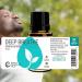 Rocky Mountain Oils Deep Breathe Essential Oil Blend - 15ml Aromatherapy for Diffusers & Topical Use | Relaxing Essential Oils for Stress Relief - Buy Online on GoSupps.com