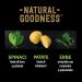 Cesar Natural Goodness Wet Food for Dogs with Lamb and Vegetable Flavor 6 cans of 400 g Total 2.4 kg - Buy Online on GoSupps.com