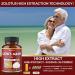 11-in-1 Lions Mane Mushroom Capsules- 5050mg Equivalent, 3 Month Supply with Cordyceps, Reishi, Ashwagandha, Panax Ginseng- Focus, Memory, Brain, Immune Support, Energy Pills - Buy Online on GoSupps.com