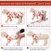 Kuoser Dog Body After Surgery - Breathable Protection for Male & Female Dogs and Cats - Post-Op Leakage Prevention - Alternative to Protective Collars - XS Size Available - Buy Online on GoSupps.com
