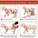 Buy Kuoser Breathable Dog Body for Post-Surgery Care | Leak Protection & Collar Alternative for Dogs & Cats - Buy Online on GoSupps.com