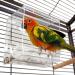 Tidy Seed Small: Mess-Free Bird Feeder for Clean and Organized Feeding - Buy Online on GoSupps.com