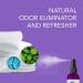 Diva Stuff Travelers Mist - Clear Skin & Acne Protection, Pillow & Sheet Cleanser, Relaxing Aromatherapy Spray - Lavender & Chamomile, 2oz, Made in USA - Buy Online on GoSupps.com