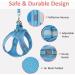 Reflective Mesh Cat Harness and Leash Set - Escape Proof Kitten and Puppy Vest - Comfort Fit and Lightweight - Easy Control - Small Blue - Buy Online on GoSupps.com