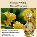 SEYIMTU Arabic Perfume Oil For Women & Men 0.53 Fl Oz Long-Lasting Fragrance Exotic Blend Of Spices Floral & Woody Musk Unisex Gift Idea - Buy Online on GoSupps.com