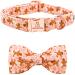 Lionheart Glory Christmas dog collar pink dog hunde collar adjustable soft comfortable fly collars for small dogs girls or young collar dog loop XS (1 Pack) a: gingerbread man