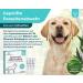 Home Pet Lab Spot-On Tick & Flea Protection for Dogs (10-20 kg) - 3-Month Effective Formula - Buy Online on GoSupps.com