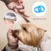 Diompirux 5-Pack Profi Dog Grooming Set | Effilier & Curved Scissors + Fur Care Comb for Dogs & Cats - Buy Online on GoSupps.com