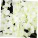 Zerodeko 60 Pcs Simulated Violet Faux Hanging Flower House Plants Artificial Outdoor Flowers Artificial Wisteria Rattan Decor Hanging Wall Flower Pendant Plastic Indoor Accessories White - Buy Online on GoSupps.com
