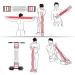Covvy 3-in-1 Multifunctional Sports Equipment: Belly Trimmer Hand Gripper & Expander for Muscle Building - Ideal for Home Workouts - Buy Online on GoSupps.com