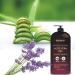 First Botany Pure Aloe Vera Gel with Lavender Oil - 100% Fresh & Pure Natural Raw Moisturizer - 16.9 fl oz - Buy Online on GoSupps.com