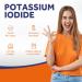 Doctor's Recipes Potassium Iodide 65 mg Made in The USA Dietary Supplement 90 Tablets KI Pills YODO Naciente 3 Month Supply - Buy Online on GoSupps.com