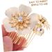 Didiseaon 1 Pair wedding hair accessories wedding grace hair comb headgear rhinestones hair combs for wedding hair combs for women accessories fine hair rhinestone hair comb hair Hair up - Buy Online on GoSupps.com