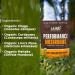 Laird Superfood Organic Performance Mushroom Blend - Energy & Focus Booster 3.17 oz (Pack of 2) - Buy Online on GoSupps.com
