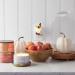 Yankee Candle Pumpkin Arrangement ScentPlug Diffuser - Top International Shipping & Best Prices - Buy Online on GoSupps.com