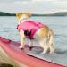 Buy Asenku Dog Wowers: Adjustable Ripstop Dog Swimming Vest for Small to XXL Dogs - Durable & Reflective for Boating Surfing & Swimming - Pink - Buy Online on GoSupps.com