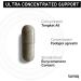 Tongkat Ali Fadogia Agrestis - Ultra High Potency 200:1 Tongkat Ali & 30:1 Fadogia Agrestis - 2% Eurycomanone -Third-Party Lab Tested - 120 Capsules - Buy Online on GoSupps.com