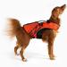 Ezydog Premium Life Jacket for Dogs | DFD X2 Chiminal Vest - Small Medium & Large - Red (4XS) - Ultimate Safety & Comfort - Buy Online on GoSupps.com
