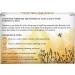 Buy Aura Cacia Uplifting Essential Oils Kit - 4 Cheerful Pure Oils (0.25 fl oz each) - Buy Online on GoSupps.com