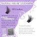 Shop B&Qaugen 3D Effect Lash Clusters - 144 PCS Fluffy Wispy Individual Eyelashes | Long Lasting Curl & Natural Look | International Shipping Available - Buy Online on GoSupps.com
