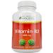 Purely Holistic Vitamin B2 Riboflavin 400mg - 240 Vegan Capsules, 8 Month Supply - High Strength B2 Vitamins - Non GMO & Gluten Free - Supports Energy Production & Cellular Health