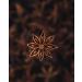 Kamelur 500g whole organic star anise - finely spiced and high quality organic star anise without additives - in a plastic bag - Buy Online on GoSupps.com