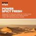 Rock Face Power Shower Gel 410ml | Fresh Spicy Scent | All-in-One Body Wash for Hair and Body | Long-Lasting Fragrance - Buy Online on GoSupps.com