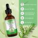 Rosemary Hair Oil for Hair Growth and Skin Care Hair Strengthening Oil for Fuller Healthier Hair Anti Hair Loss and Nourishes Scalp for Hair Growth Repair | 60 ml - Buy Online on GoSupps.com