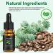 Castor Oil Hair Growth Oil Pure Cold Pressed Castor Oil for Eyelashes Eyebrows Lash Nail Hair Growth Serum Eyebrow Growth Serum Lash Oil with Eyelash Brush Skin Care Ricin Oil (10ml) 10ml  - Buy Online on GoSupps.com