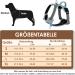 Eyin Adjustable Dog Harness for Small Dogs | Breathable Reflective Padded | Daily Training | Blue (S) - Fits Neck 32-46cm Chest 35-63cm - Buy Online on GoSupps.com