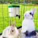 VandanCoop 500ml Automatic Rabbit Water Bottle - Non Drip Hanging Water Feeder for Small Animals - Buy Online on GoSupps.com
