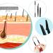 6 Piece Facial Hair Remover Set for Women - Spring Remover, Eyebrow Trimmer, Tweezers - Face Epilator Tool for Upper Lip, Chin, Cheeks - Buy Online on GoSupps.com