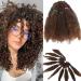 SEGO 3 Packs Afro Cochet Braids Kinky Curly Hair Bulk Extensions Marlybob Coat braids confused hair natural black & light brown